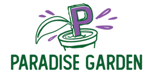 Paradise Garden-Piante eleganti per casa e ufficio